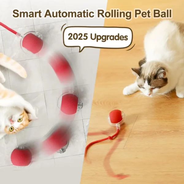 Interactive Cat Ball - Image 3