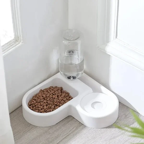 Dual Pet Feeding Bowl