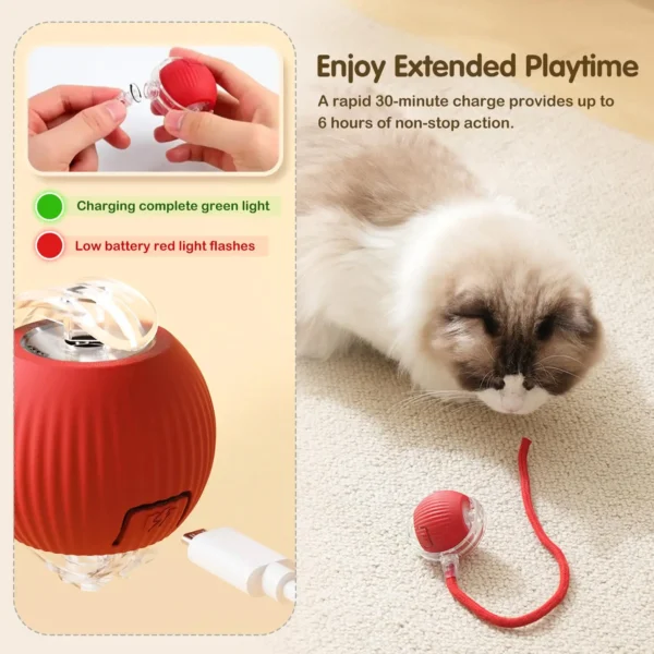 Interactive Cat Ball - Image 6