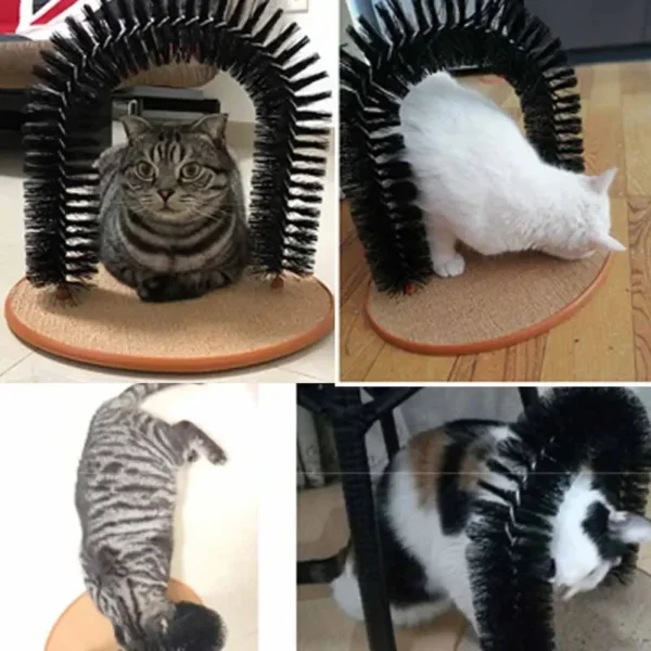 Cat Grooming Arch - Image 4