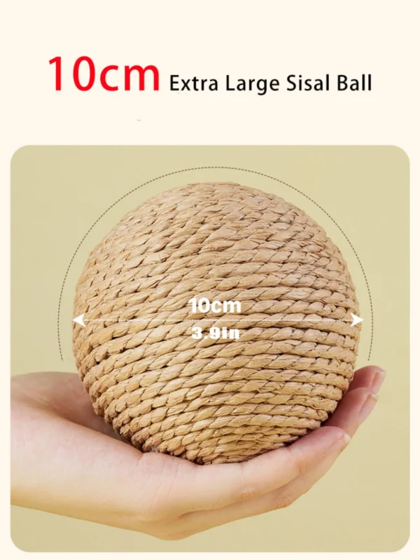 Interactive Scratching Ball - Image 3